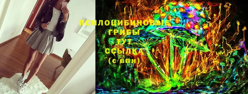 Галлюциногенные грибы Psilocybine cubensis  Адыгейск 